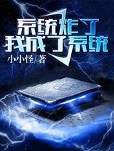 系统炸了,我成了系统